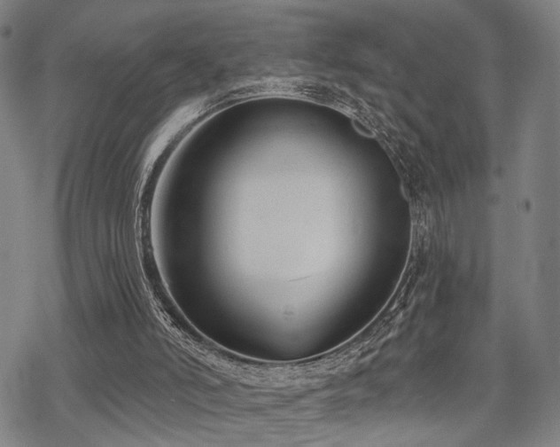 X0000069810006200605191057