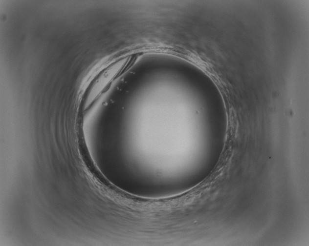 X0000069810007200605191057