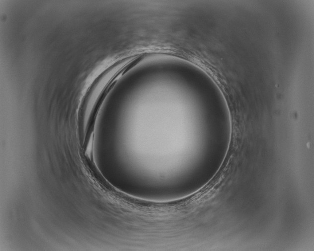 X0000069810008200605191057