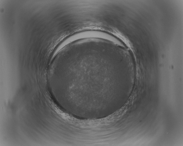 X0000069810009200605191057