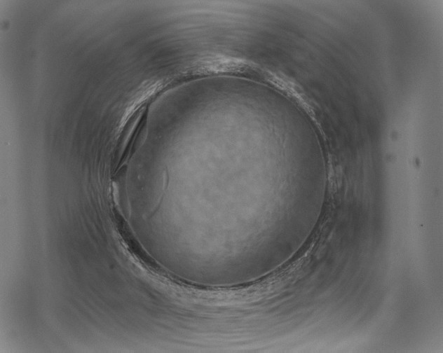 X0000069810010200605191057