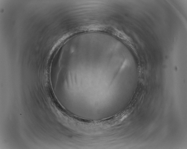 X0000069810012200605191057