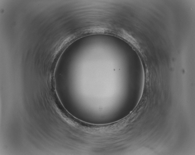 X0000069810013200605191057