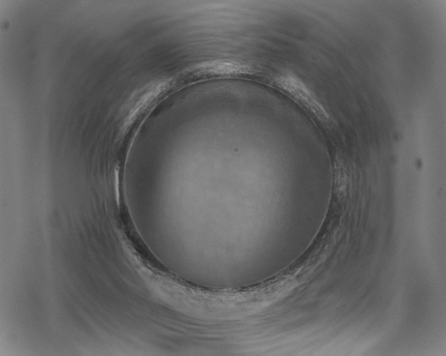 X0000069810014200605191057