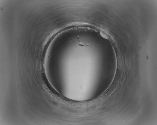 X0000069810015200605191057