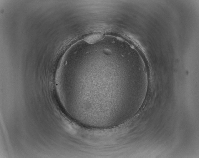 X0000069810017200605191057