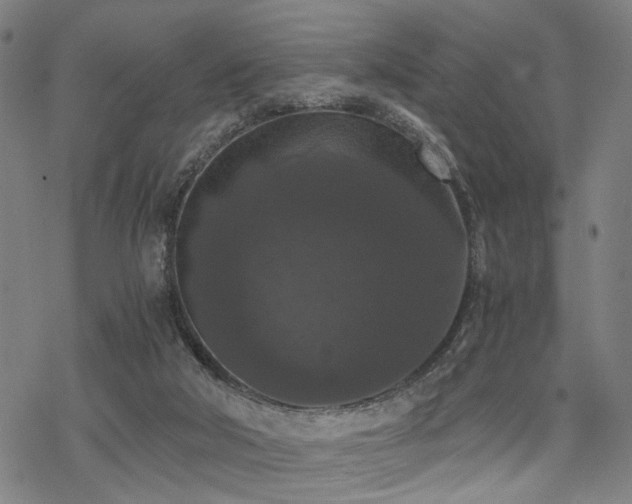 X0000069810018200605191057