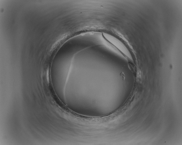 X0000069810019200605191057