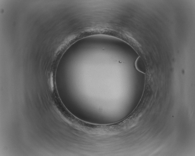 X0000069810020200605191057