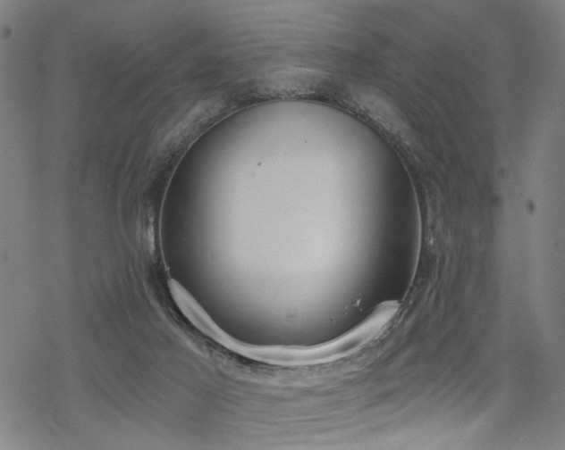 X0000069810021200605191057