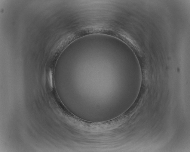 X0000069810022200605191057