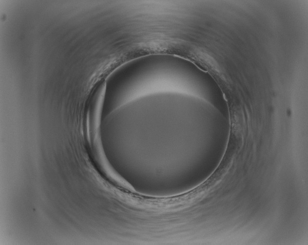 X0000069810023200605191057