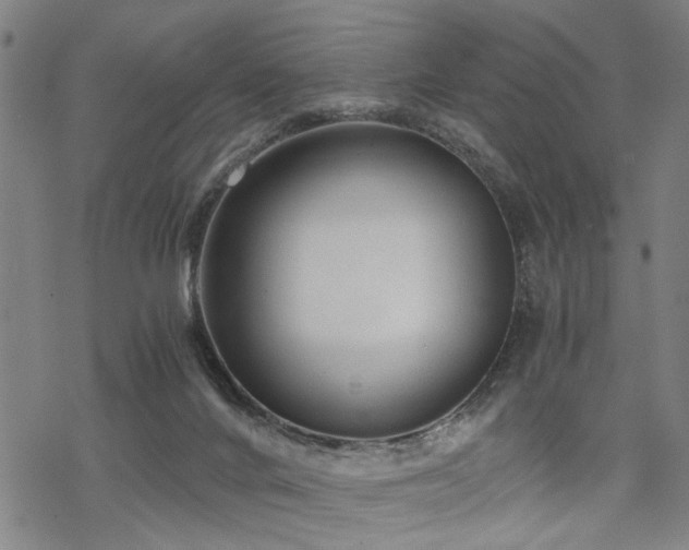 X0000069810024200605191057