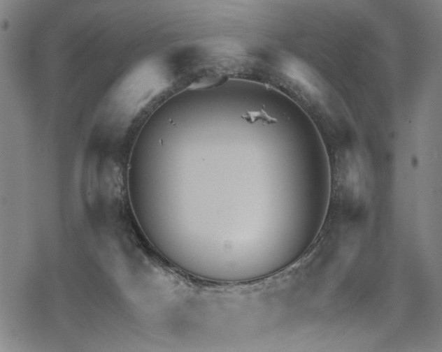 X0000069810025200605191057