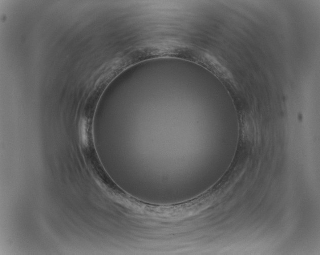 X0000069810026200605191057