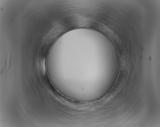 X0000069810028200605191057