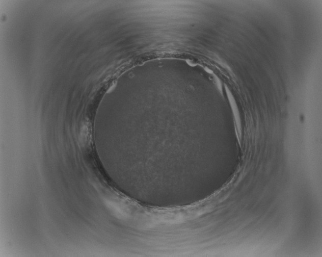 X0000069810029200605191057