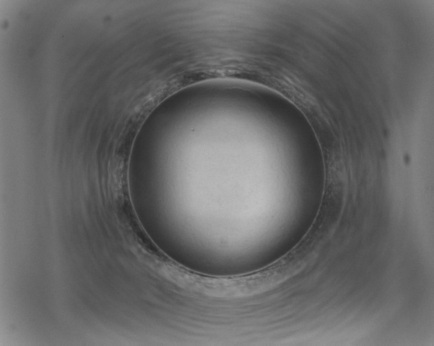 X0000069810030200605191057