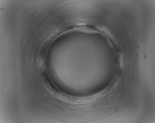 X0000069810031200605191057