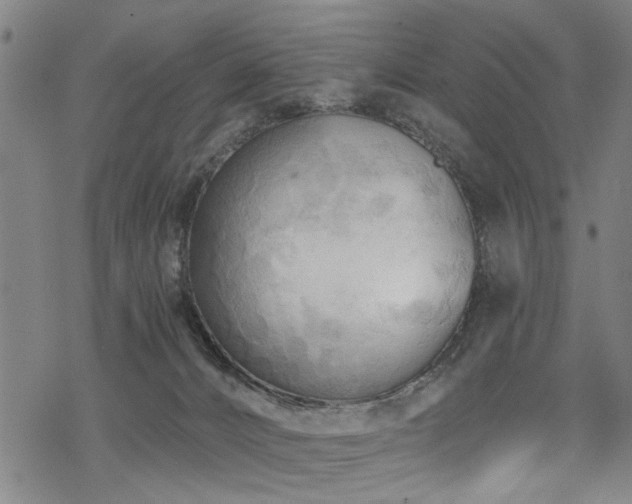 X0000069810032200605191057