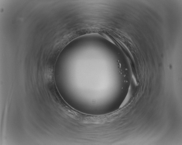 X0000069810033200605191057