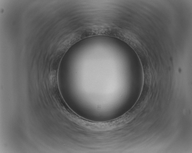 X0000069810034200605191057