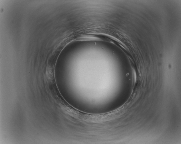 X0000069810037200605191057