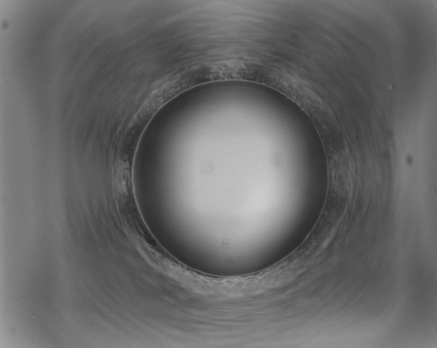 X0000069810038200605191057