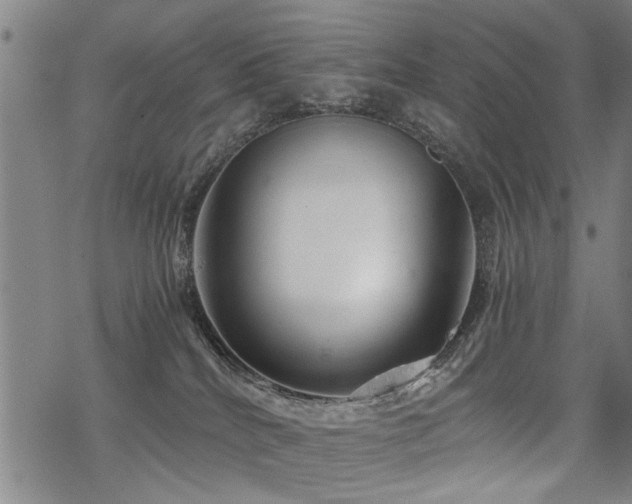 X0000069810040200605191057