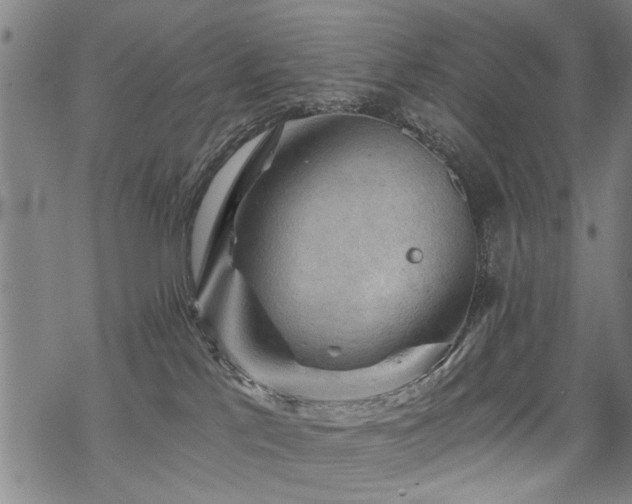 X0000069810041200605191057