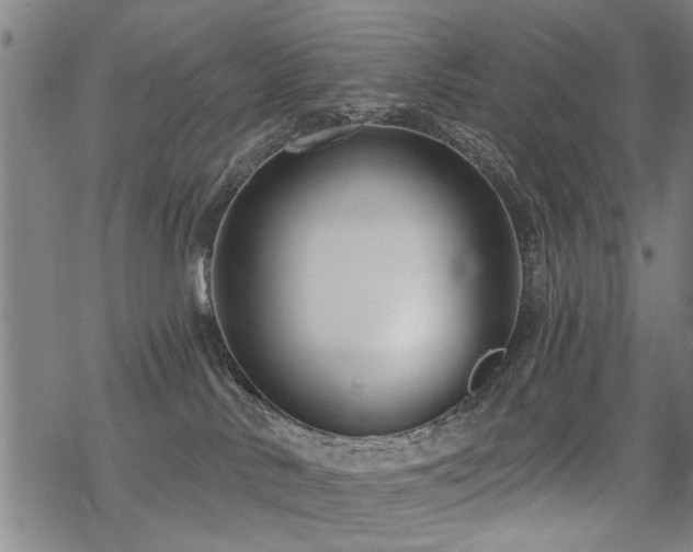 X0000069810042200605191056