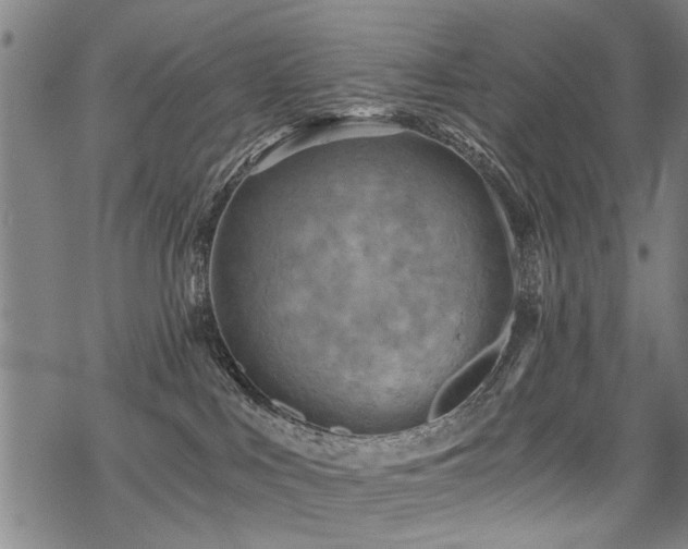 X0000069810043200605191056