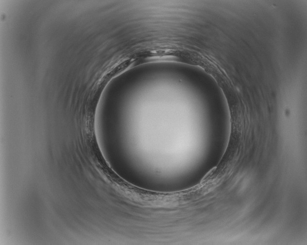 X0000069810044200605191056