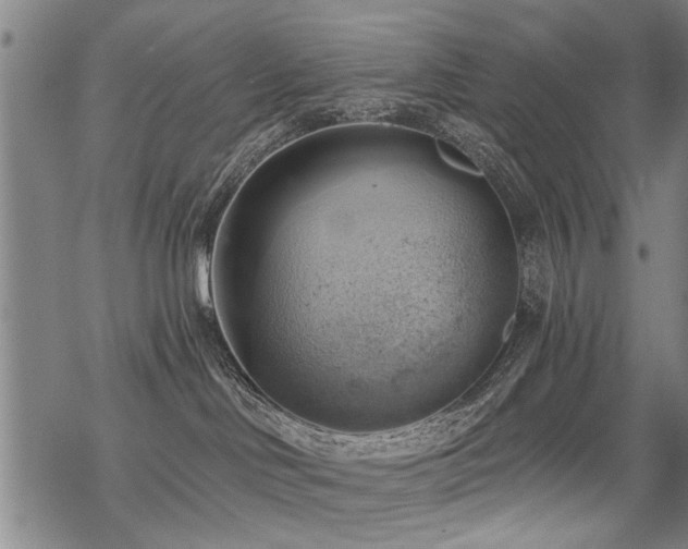 X0000069810046200605191056