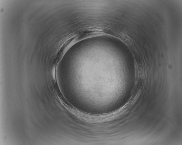 X0000069810047200605191056