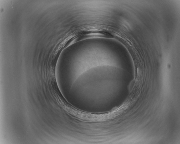 X0000069810048200605191056