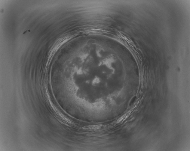 X0000069810049200605191056