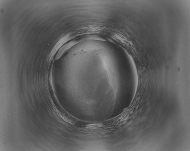 X0000069810051200605191056