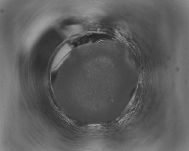 X0000069810052200605191056