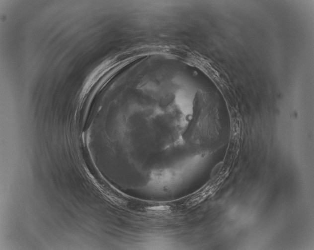 X0000069810053200605191056