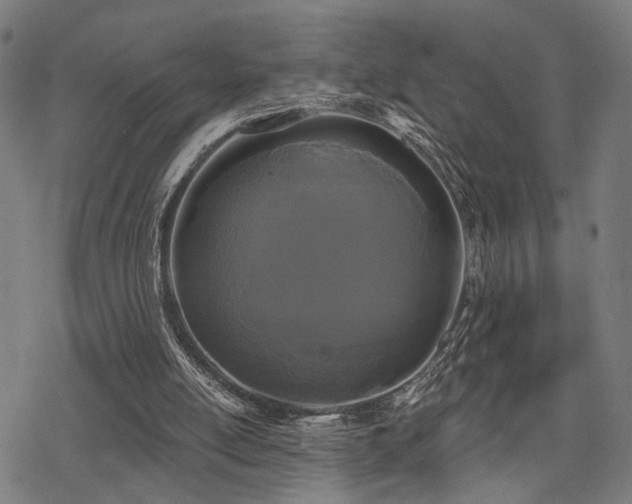 X0000069810054200605191056