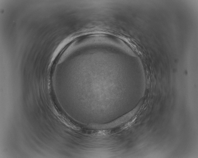 X0000069810056200605191056