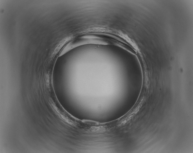 X0000069810057200605191056