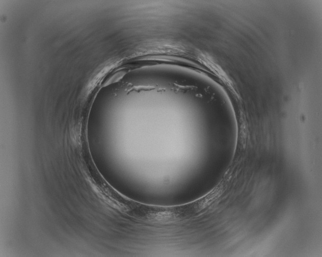 X0000069810058200605191056