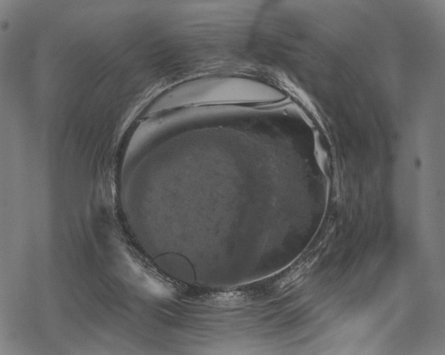 X0000069810059200605191056