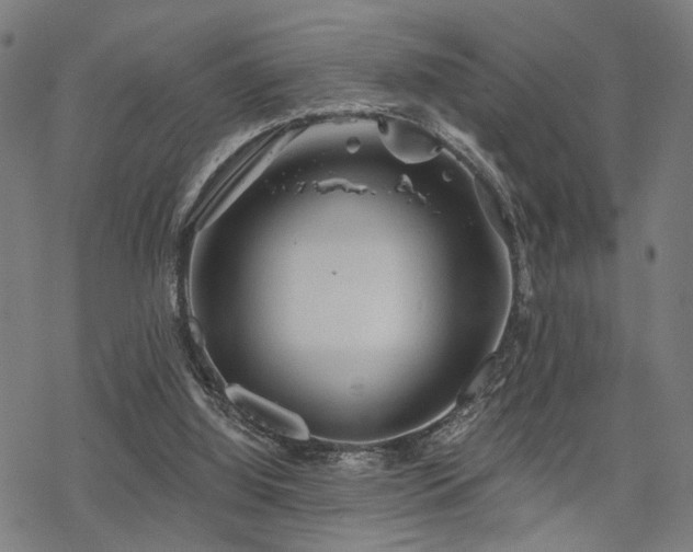 X0000069810060200605191056