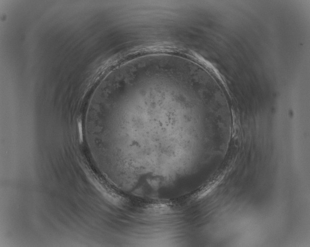 X0000069810061200605191056