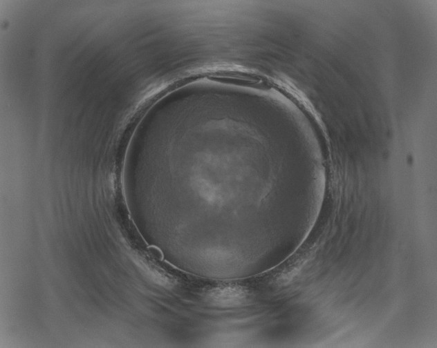 X0000069810063200605191056