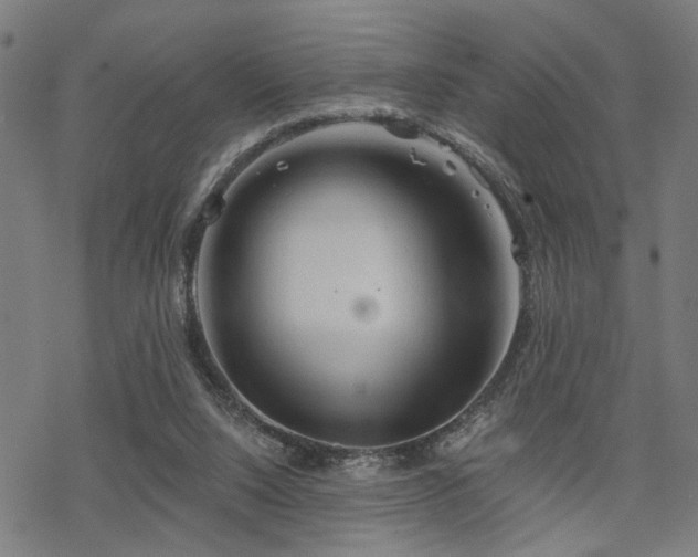 X0000069810064200605191056