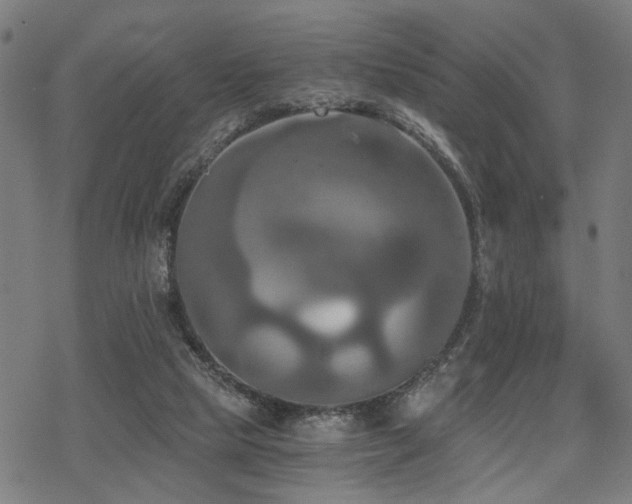 X0000069810065200605191056